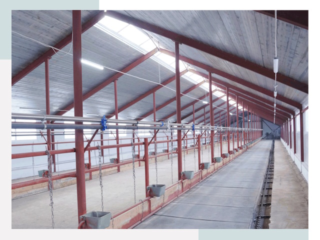 Строительство коровников в Нижневартовске от 622 руб.