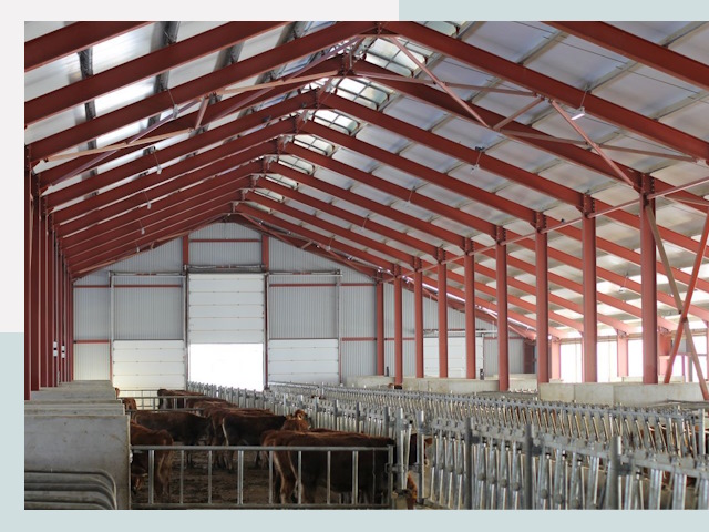 Строительство коровников в Нижневартовске