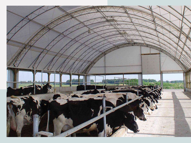 Тентовые коровники в Нижневартовске